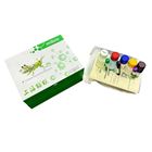 TGF-β/大鼠转化生长因子β检测试剂盒