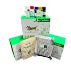 大鼠(CAT)檢測試劑盒