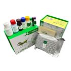 PRDX5/大鼠過氧化還原酶5檢測試劑盒