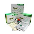 apo-A1/大鼠載脂蛋白A1檢測試劑盒