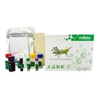 PPARγ/大鼠過氧化物酶體激活受體γ試劑盒