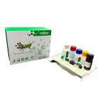 CTNNB1/大鼠連環蛋白β1,88kDa檢測試劑盒