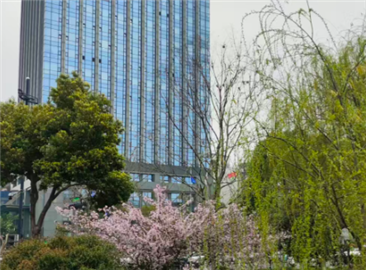 数启新程 发展“人工智能+电商” 