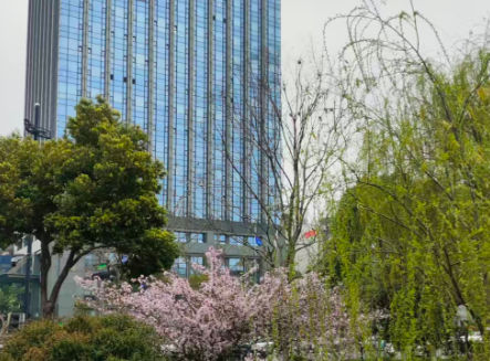 再获15亿元融资！北京诞生国内首个世界模型百亿“独角兽”