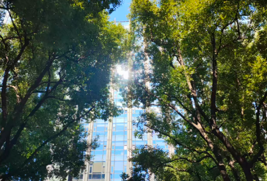 永州召开全市大抓环境暨数据和政务服务工作会议