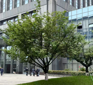 涉及显示领域、机器人等 近期融资盘点