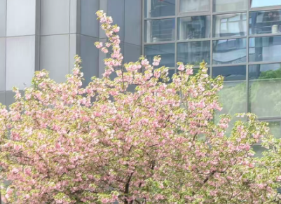 Huawei Digital Energy gründet gemeinsames Innovationszentrum für intelligente Elektrizität