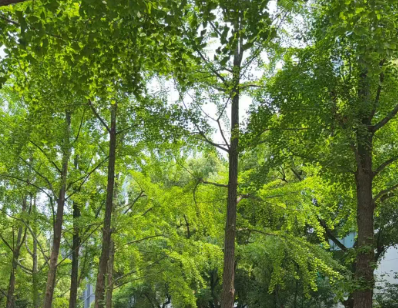世界环境日 | 以智慧赋能生态 以守护奔赴未来