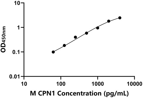 小鼠羧肽酶N1(CPN1)檢測試劑盒